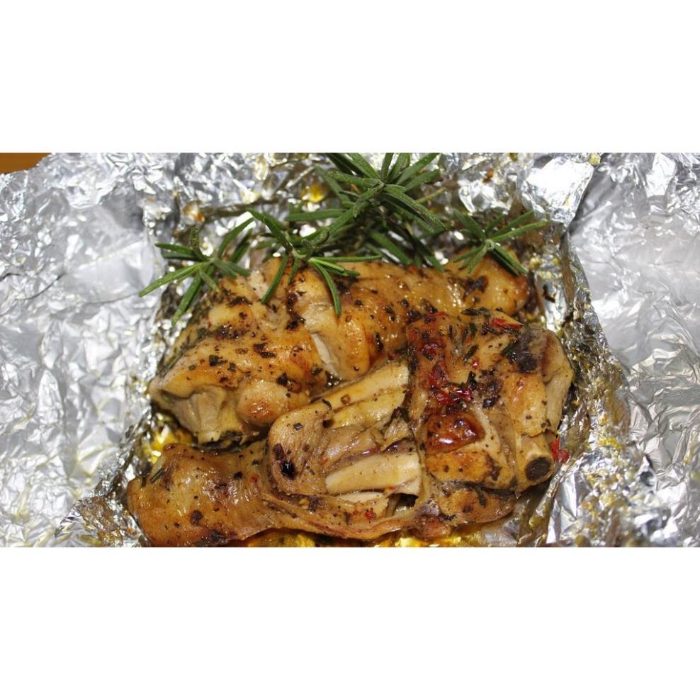 Cây hương thảo - Rosemary size trung - cây gia vị với hương thơm dịu nhẹ, vừa đuổi muỗi lại giúp thư giãn