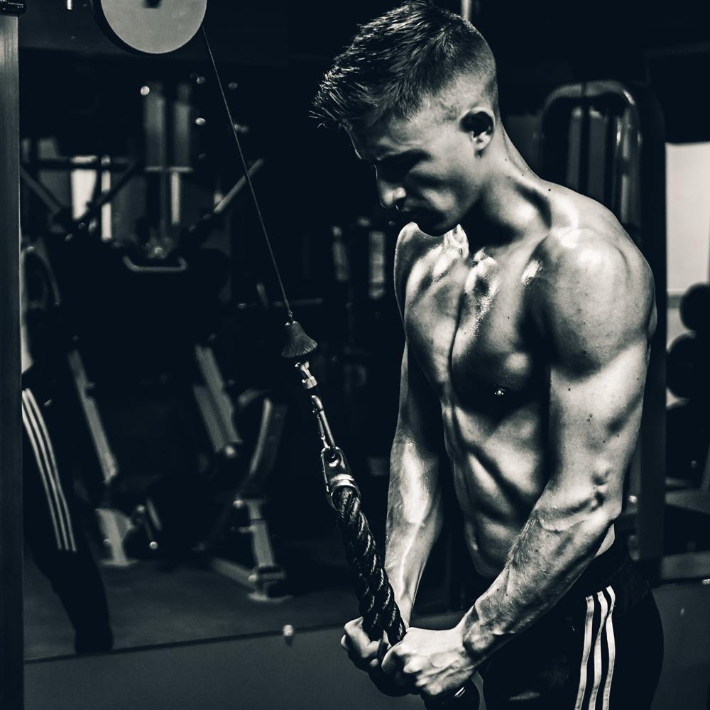 Tricep Dây 36 Inch Đỡ Tay Thể Dục Luyện Sức Mạnh Dây Rút Cáp Máy Đính Kèm Cho Bodybuding Tập Thể Dục Dụng Cụ Tập Gym