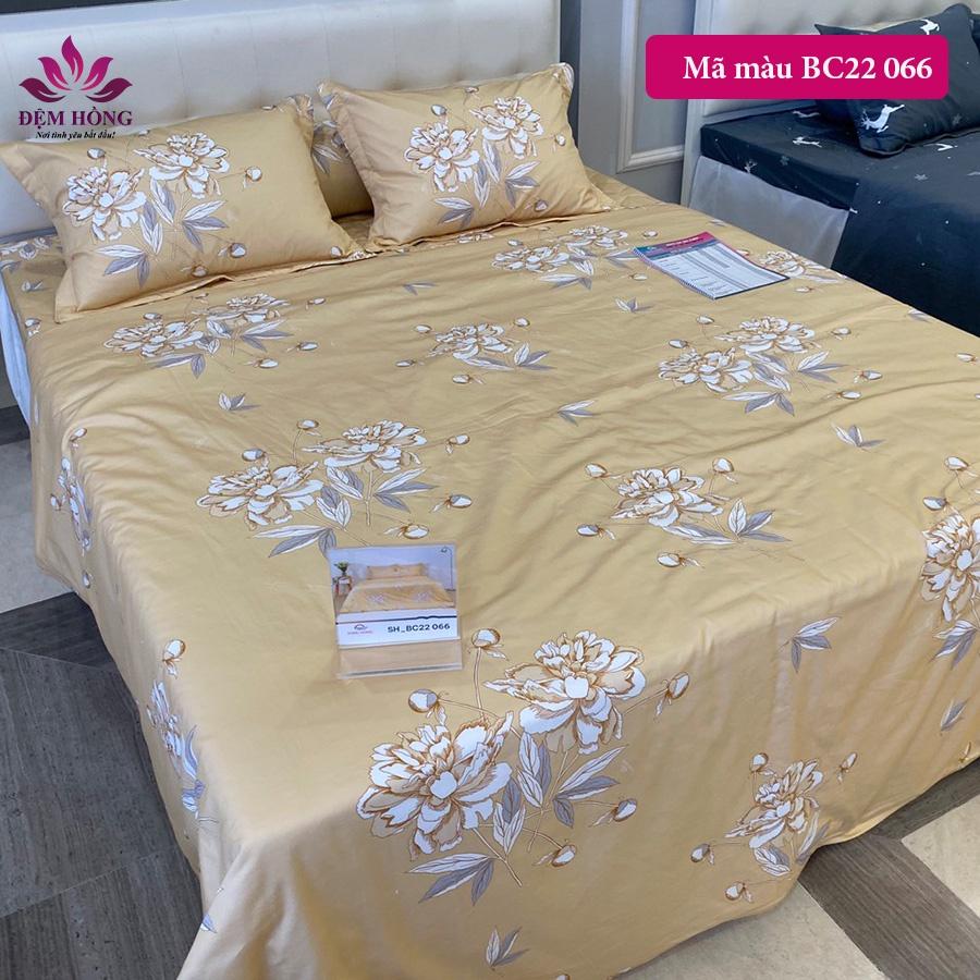 Bộ Chăn Ga Gối Cao Cấp Sông Hồng Basic 100% Cotton Mẫu 2022 - 2023