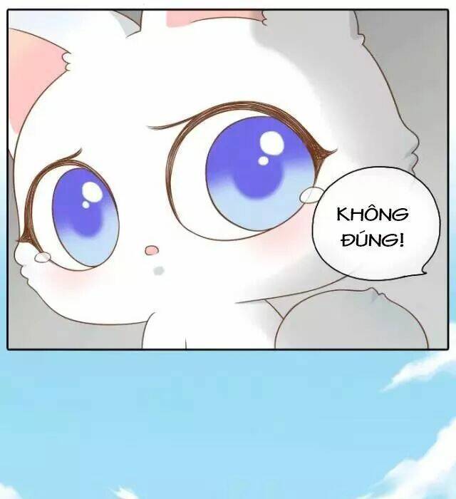 tiểu hồ ly vs tiểu hóa thượng chapter 42 22