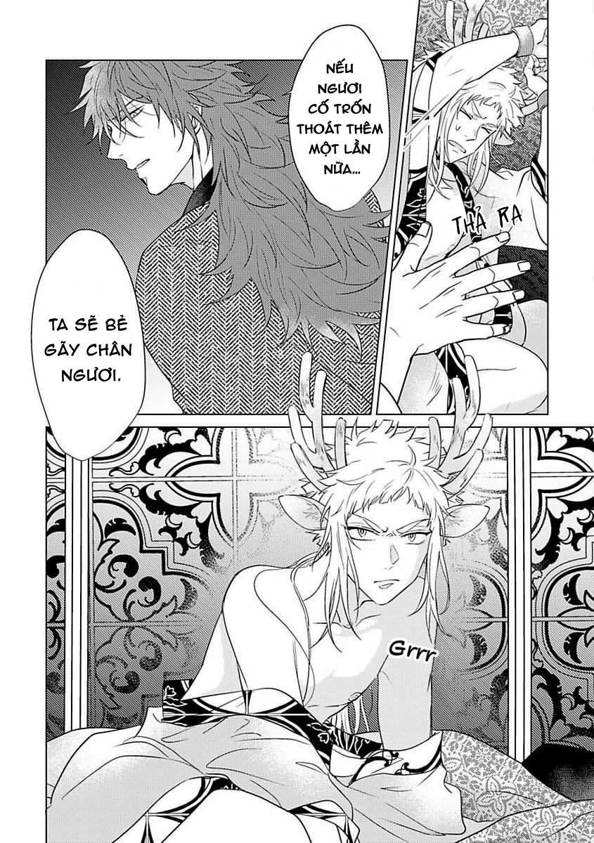 gặp gỡ em, thú nhân màu chàm trắng chapter 1 31