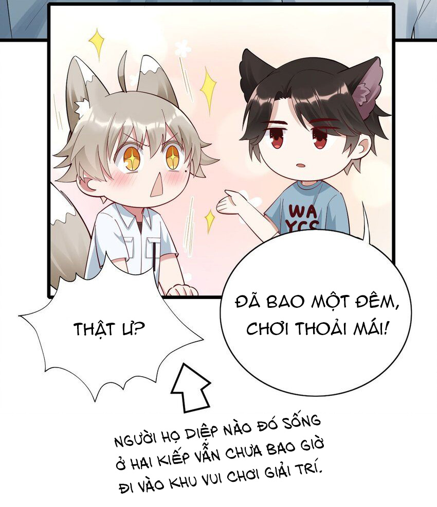 tức thời phạm quy [ tức thì vi quy ] chapter 71 11