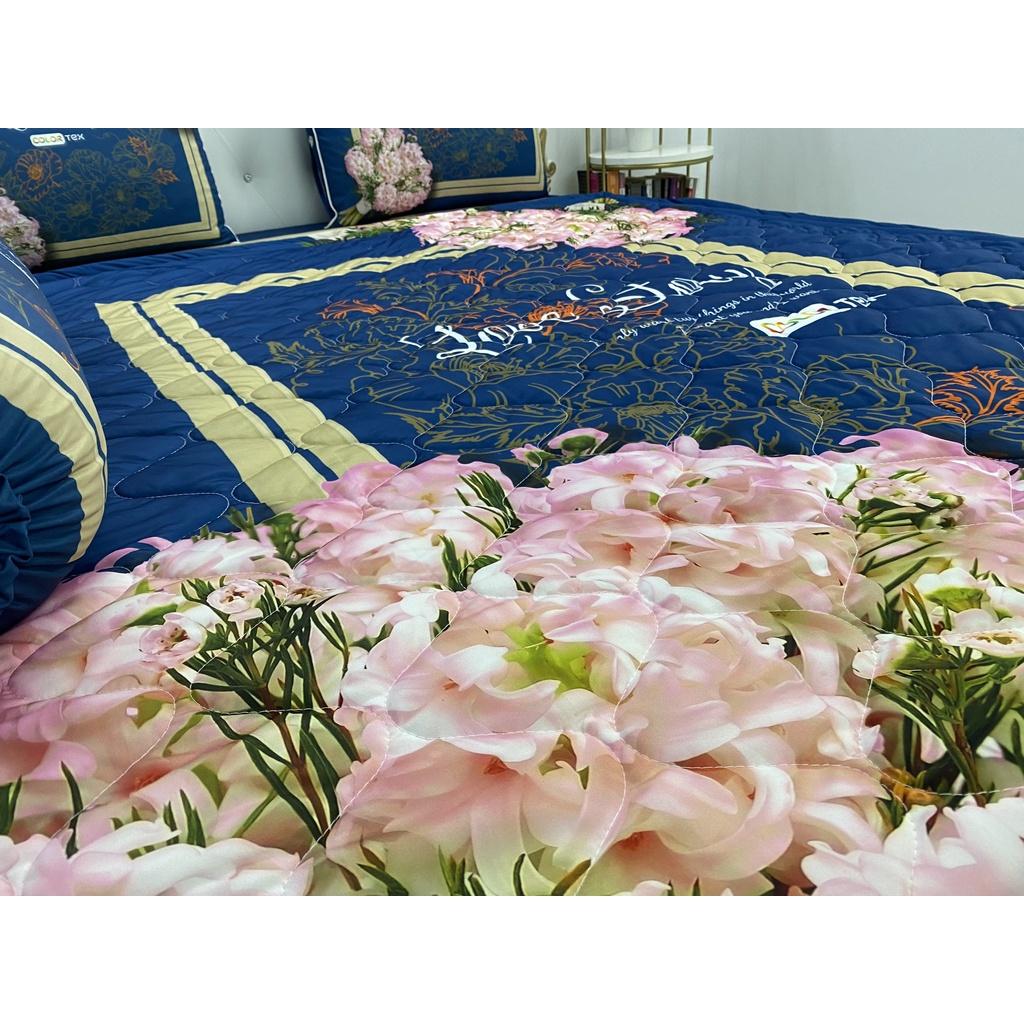 Bộ Drap mền + áo gối thun Ý 5D Cao Cấp , mát lạnh, thấm hút tốt.