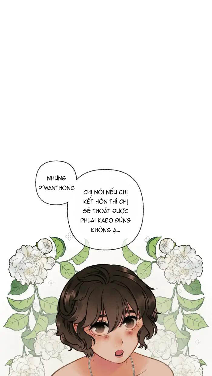 Nữ Chính Không Muốn Yêu chapter 23.2 - Trang 16
