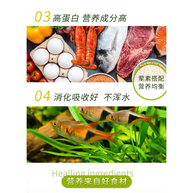 Thức ăn tăng màu cá neon, 7 màu, phượng hoàng cao cấp - Cám các dòng cá nhiệt đới - phụ kiện thủy sinh -shopleo