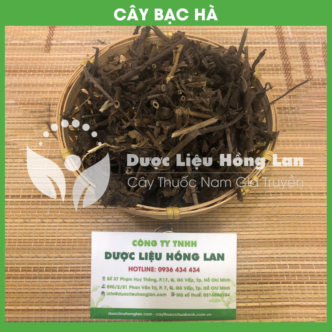 Cây Bạc Hà khô sạch đóng gói 500gram