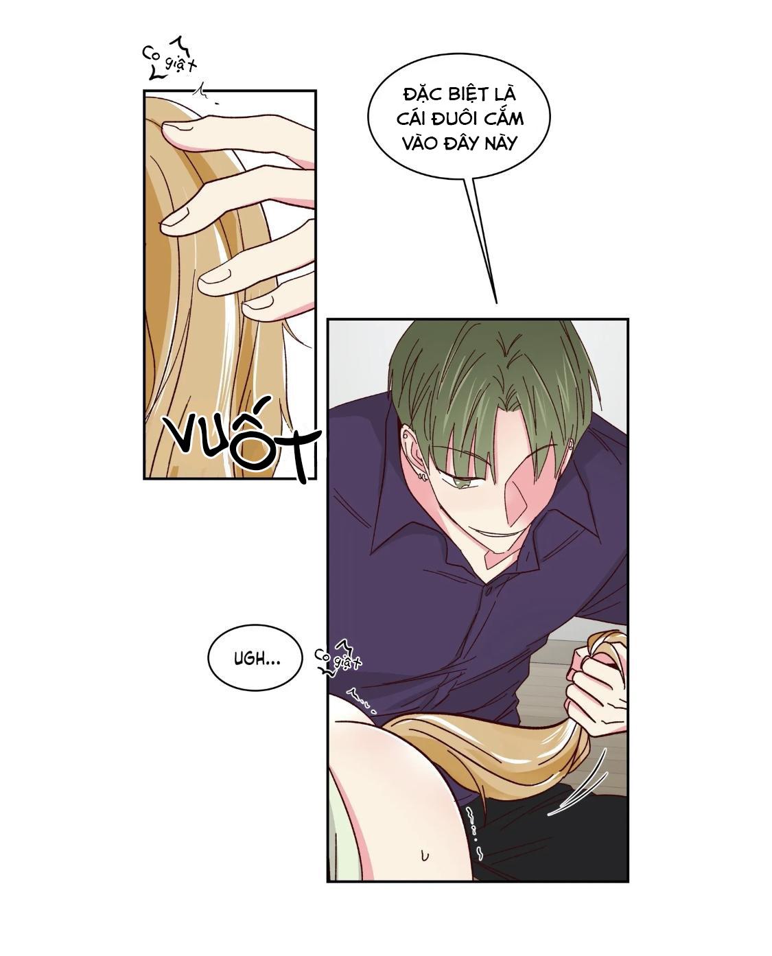 món tráng miệng của sếp tổng chapter 57 33