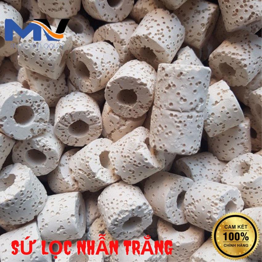 Sứ nhẫn trắng, vật liệu lọc nước cho bể cá thủy sinh