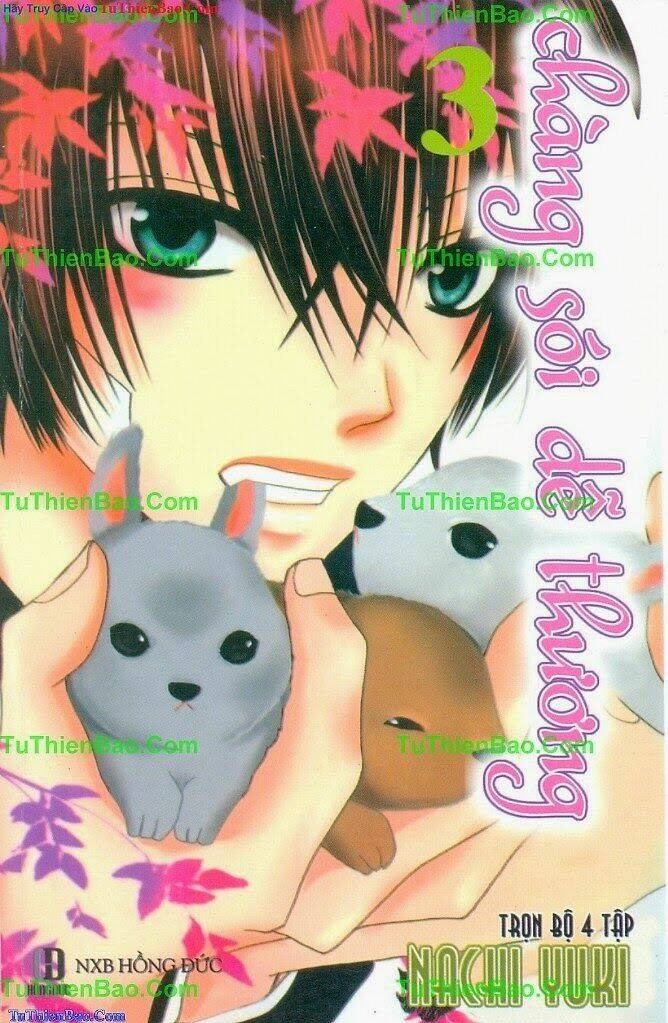 chàng sói dễ thương chapter 3 1