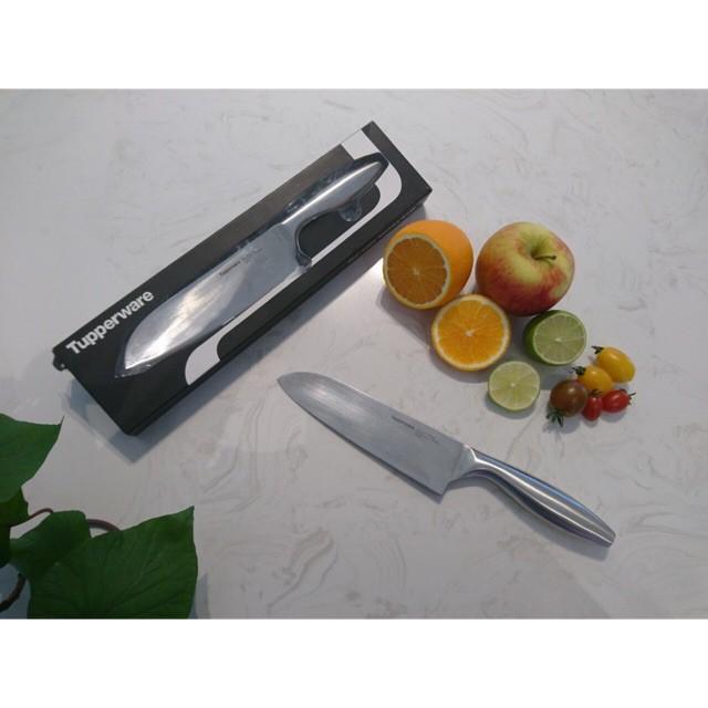 Dao Đa Năng Pro-Asian Santoku Knife Tupperware, Dao Thái Rau Củ Quả, Thịt Cá, Thép Không Gỉ Cao Cấp