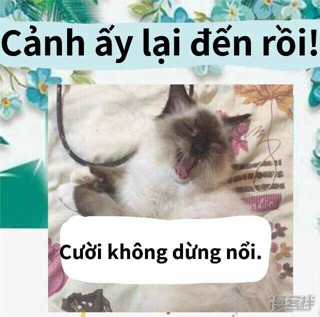 quả nhân có bệnh tên là tương tư chapter 91 30