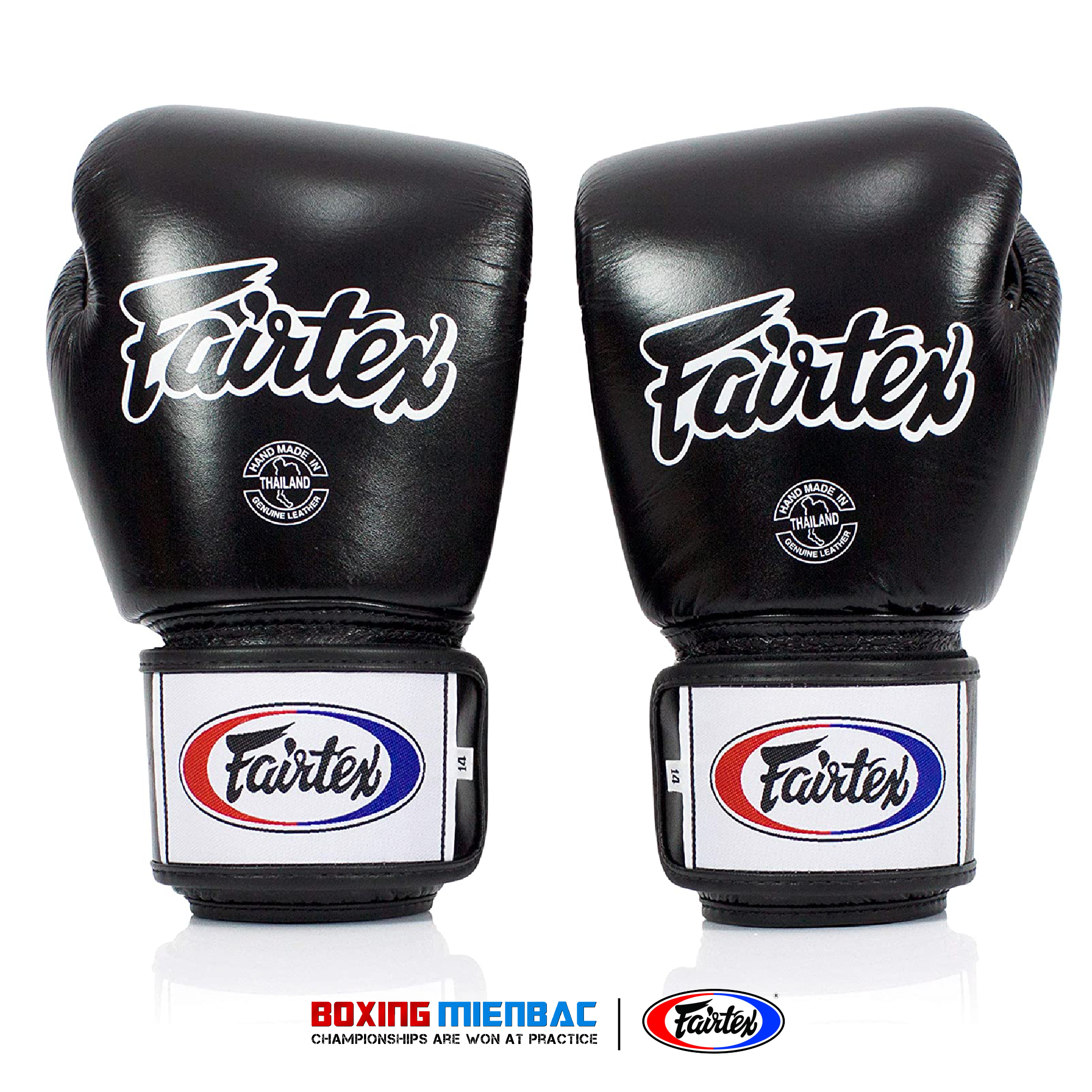 Găng Tay Boxing/ Muay Fairtex BGV1 - Đủ màu sắc