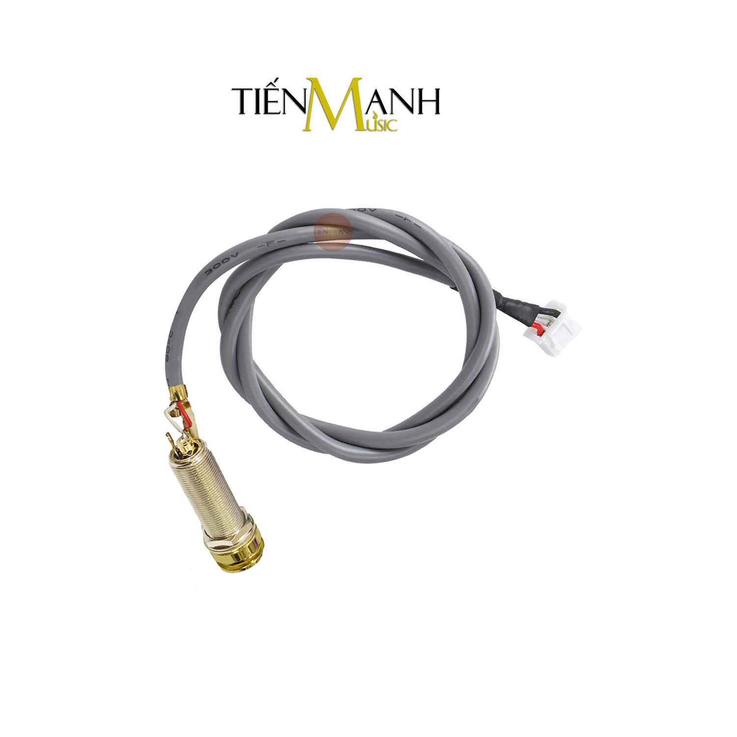 EQ Fishman Sonitone GT4 Gold Endpin Jack - Đàn Guitar Acoustic Preamp Pickup OEM-SON-GT4 Thiết bị Thu âm Ghita Hàng Chính Hãng - Kèm Móng Gẩy DreamMaker