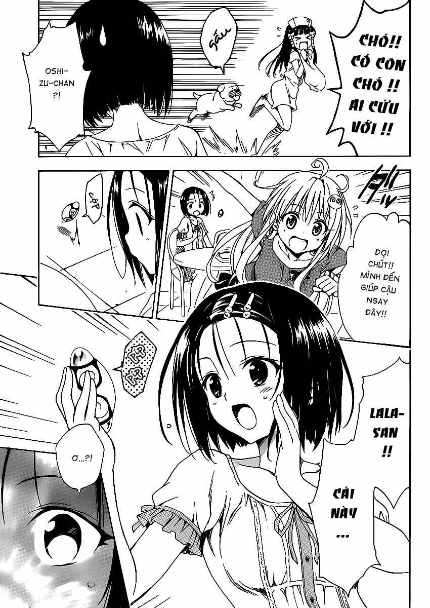 bọn tớ thích cậu! rito 2 - venus chapter 15 7