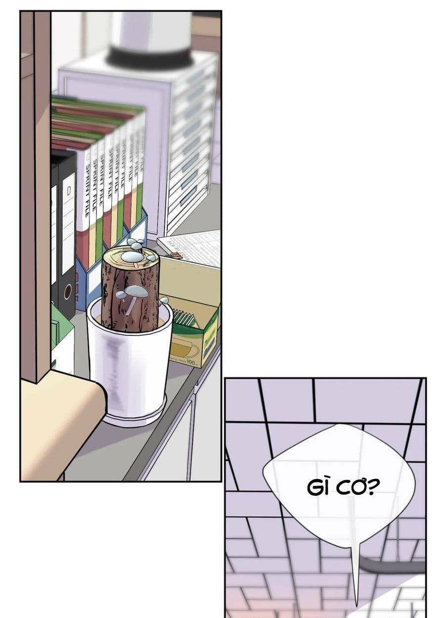 nhật ký nấm ma cô chapter 3 43