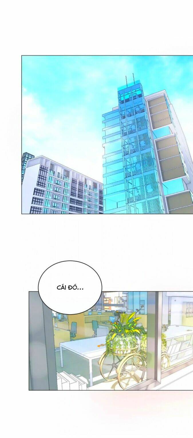 chào buổi sáng, hướng dương chapter 41 20