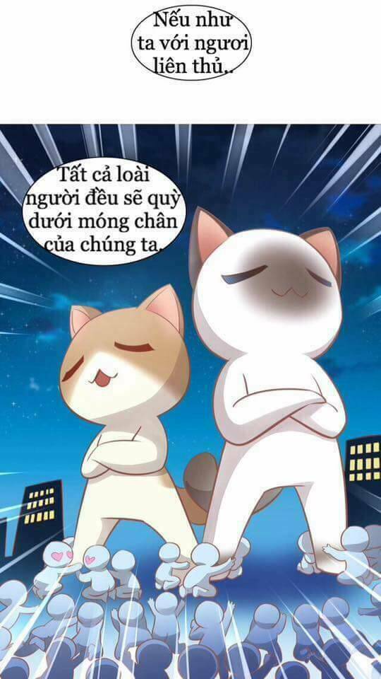 dưới móng vuốt mèo chapter 8 37