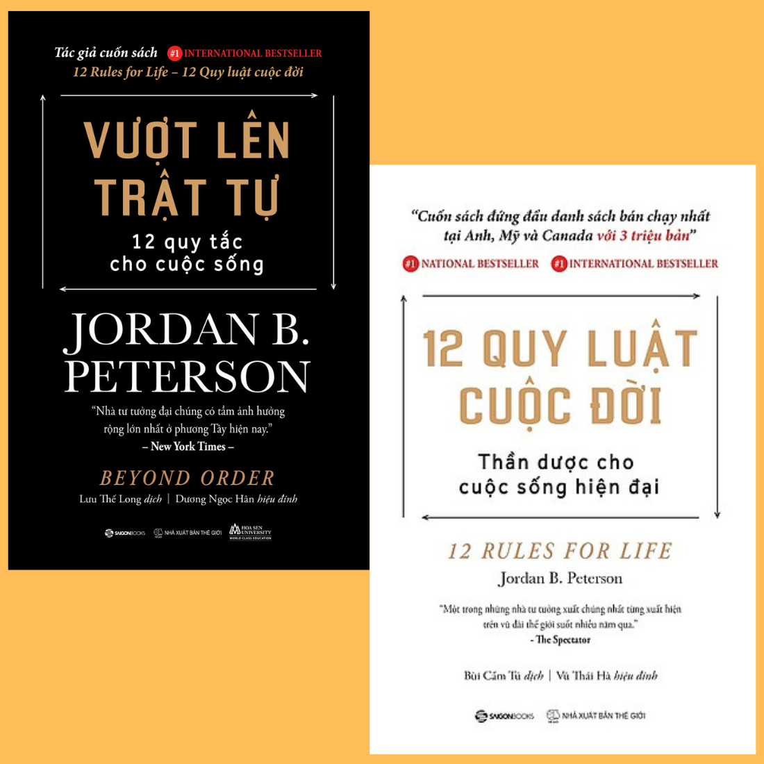 Vượt lên trật tự, 12 quy luật cuộc đời - Tác giả Jordan B. Peterson (Bộ)