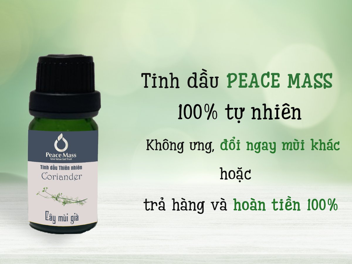 Tinh dầu cây Mùi già Peace Mass 10ml (Thuộc nhóm Sản phẩm Lành tính / Hữu cơ/ Sinh học)