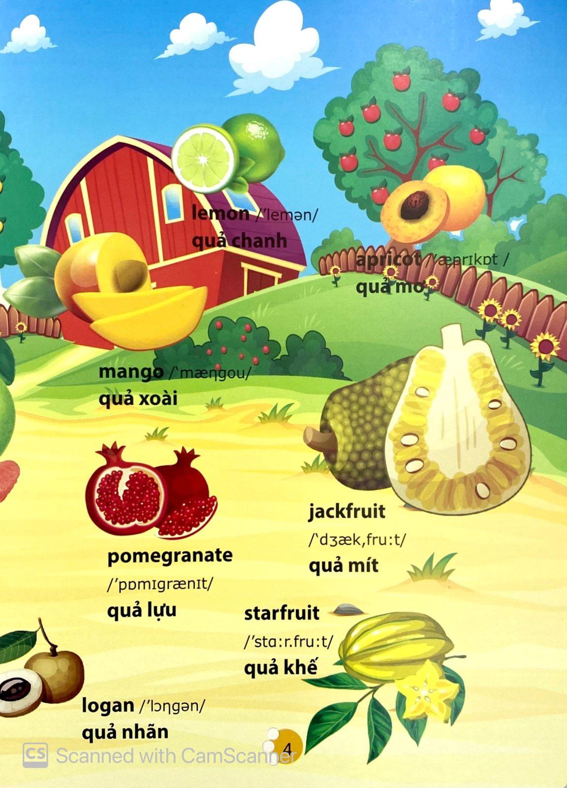 Từ Điển Phát Triển Ngôn Ngữ Bằng Hình Dành Cho Trẻ Mầm Non - Chủ Đề: Phương Tiện Giao Thông + Thành Viên Trong Gia Đình + Trái Cây + Rau Củ