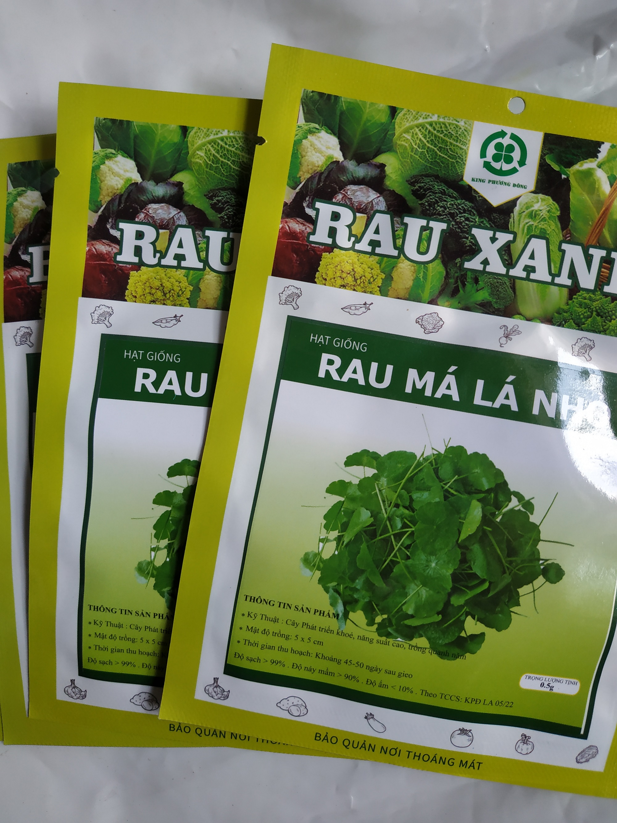 Combo 10 gói Hạt giống RAU MÁ LÁ NHỎ - gói 0.5 gram