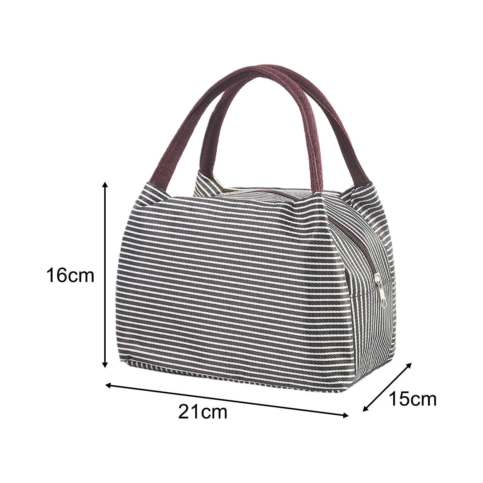Portable Lunch Lunch Box with Handle Picnic Food Box Bags Large Capacity Lightweight Durable Portable Picnic Tote for Hiking Gym Fishing