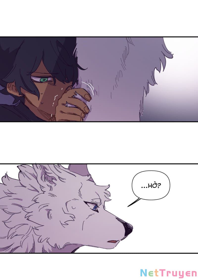 lumine - cội nguồn ánh sáng chapter 116 20