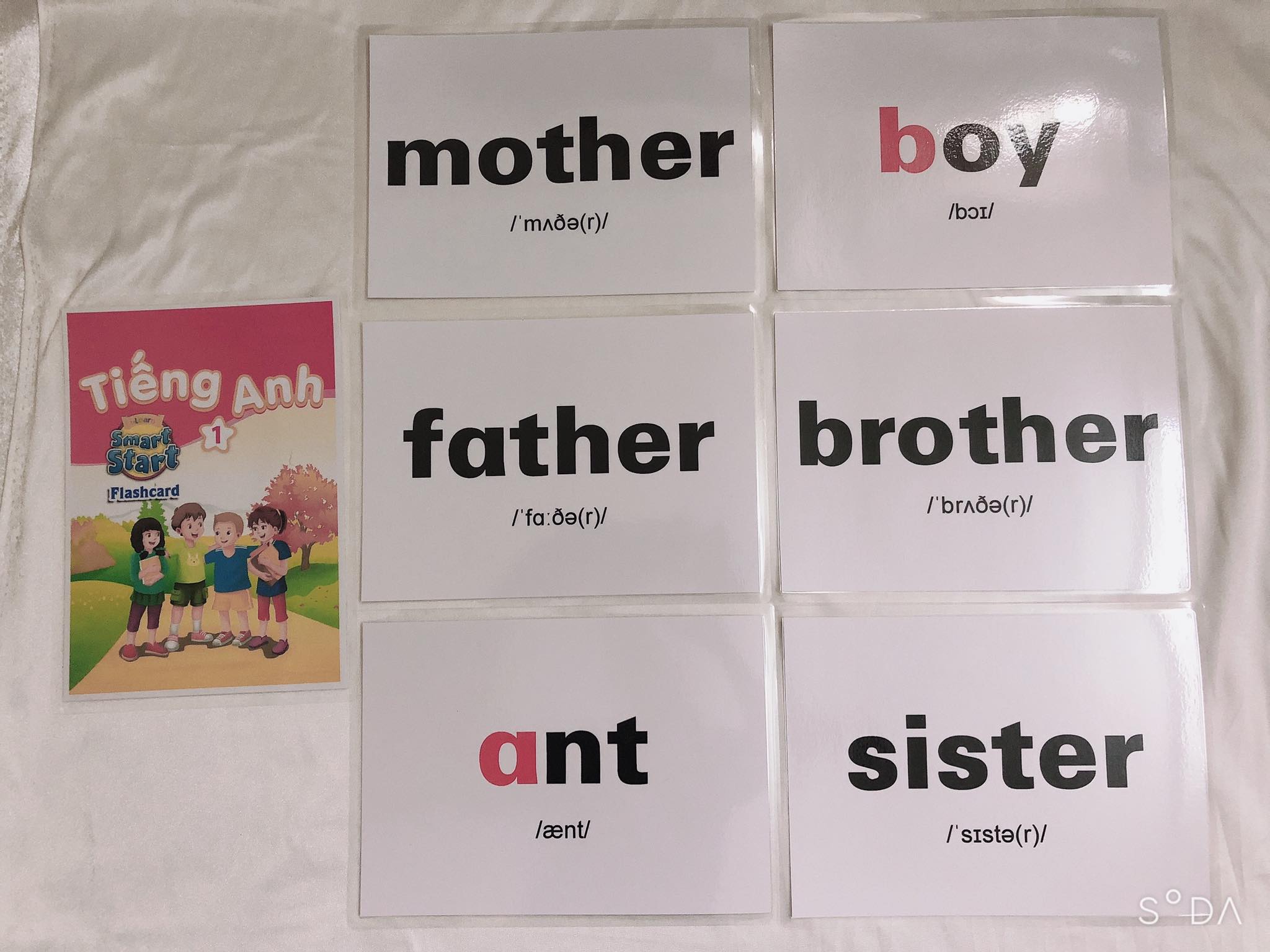 FLASHCARD TIẾNG ANH LỚP 1 Ép Platics Bền Đẹp