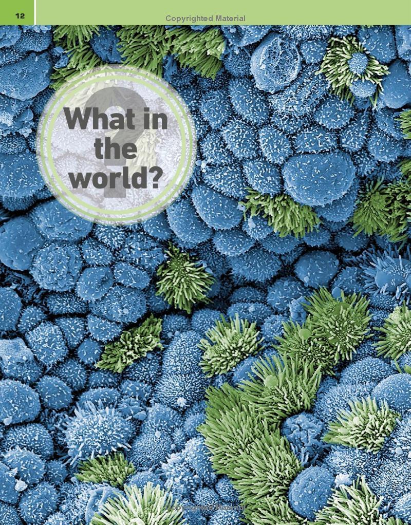 Sách ngoại văn: It Can't Be True! Human Body! : 1,000 Amazing Facts About You