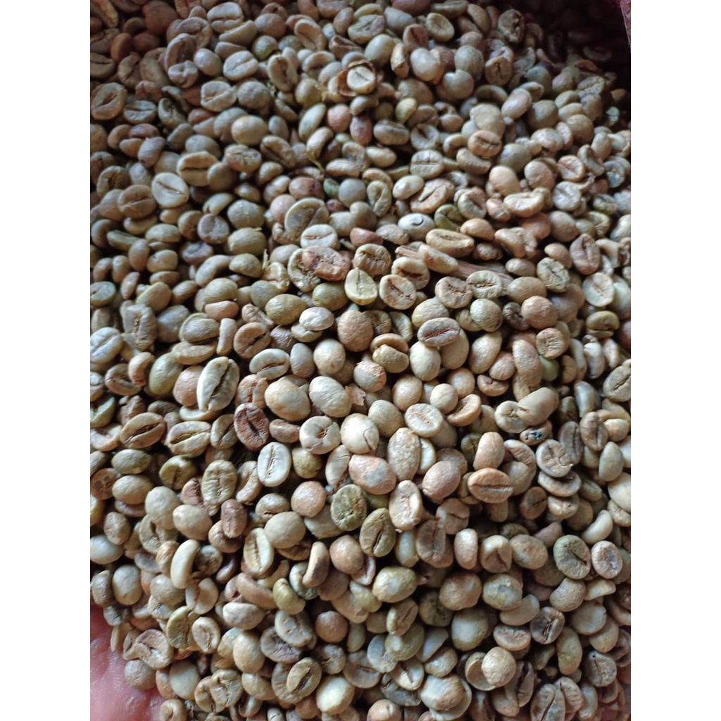 CÀ PHÊ NHÂN ROBUSTA S14 S16