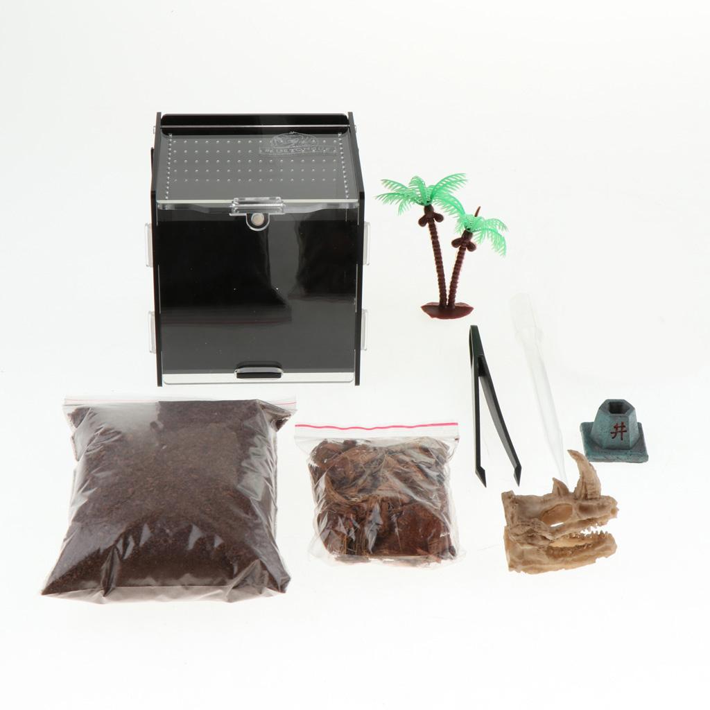 Reptile Vivarium Terrarium