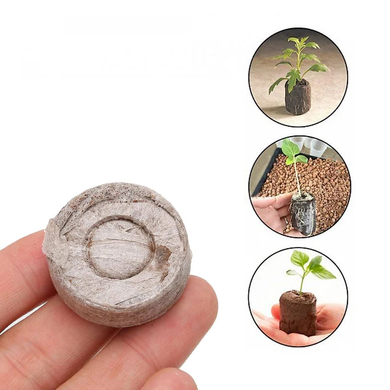 Viên nén xơ dừa, viên nén ươm hạt xơ dừa tiện ích bổ xung vi sinh hữu cơ cho cây trồng, hoa, các loại rau