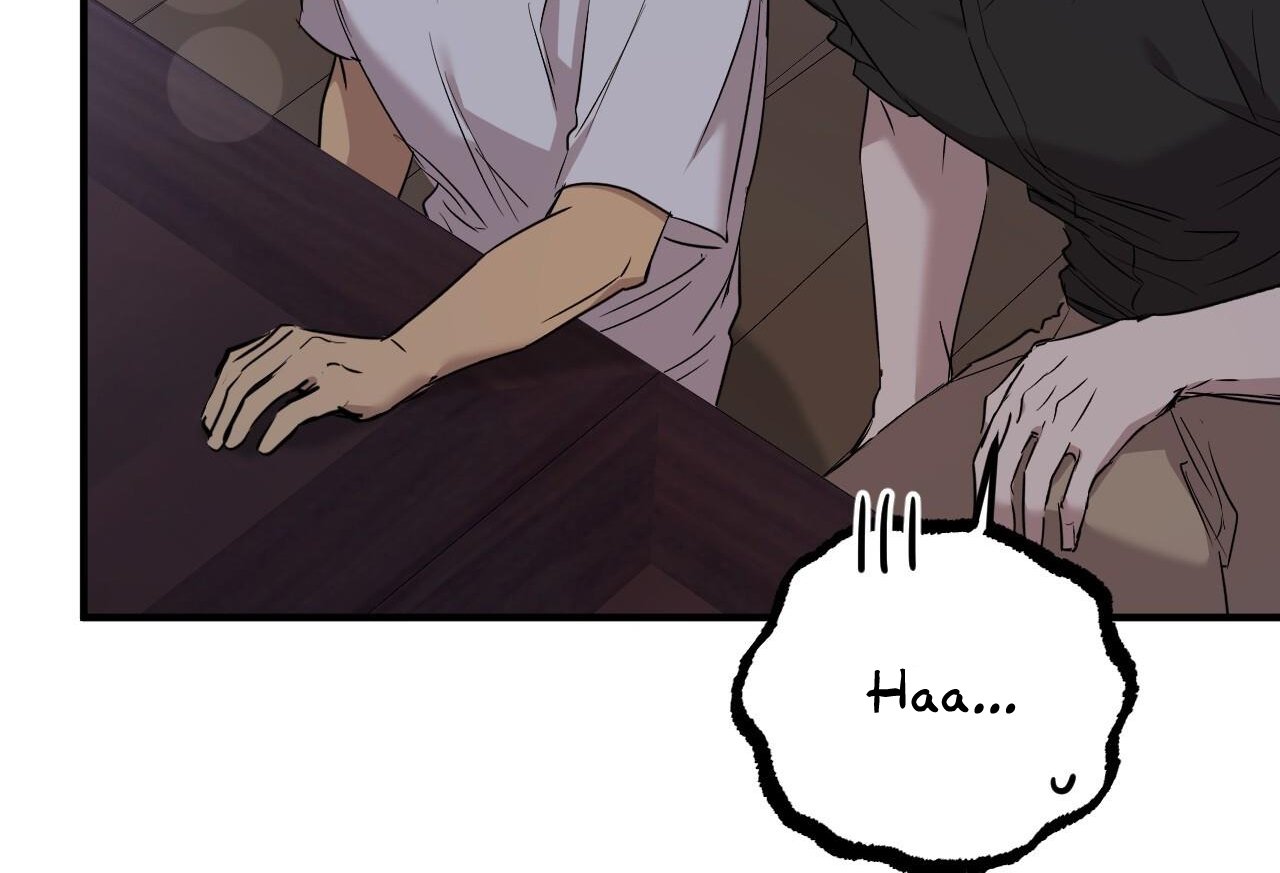 những chú thỏ của hapypy chapter 58 13