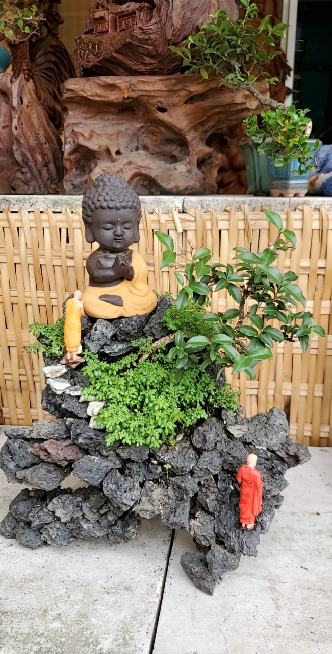 Bonsai tiểu cảnh tâm hướng phật