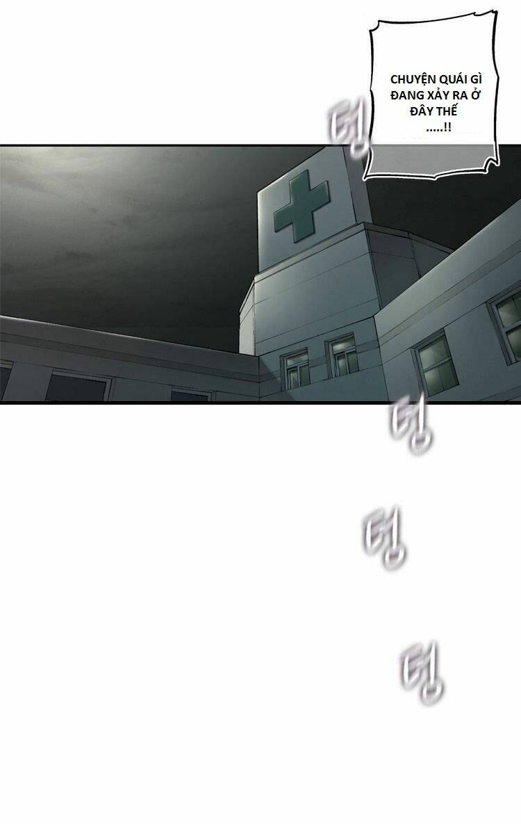 diamond dust chapter 12 51