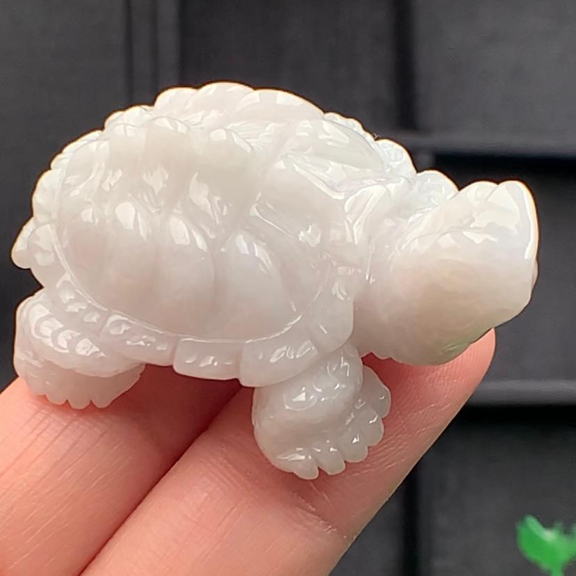 Thọ quy bạch Ngọc phỉ thúy tự nhiên
