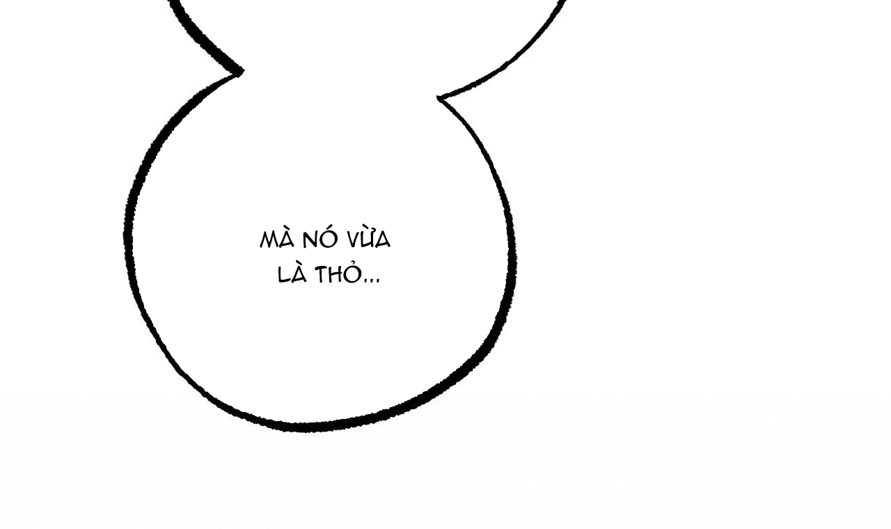 đàn thỏ của habibi chapter 34 33