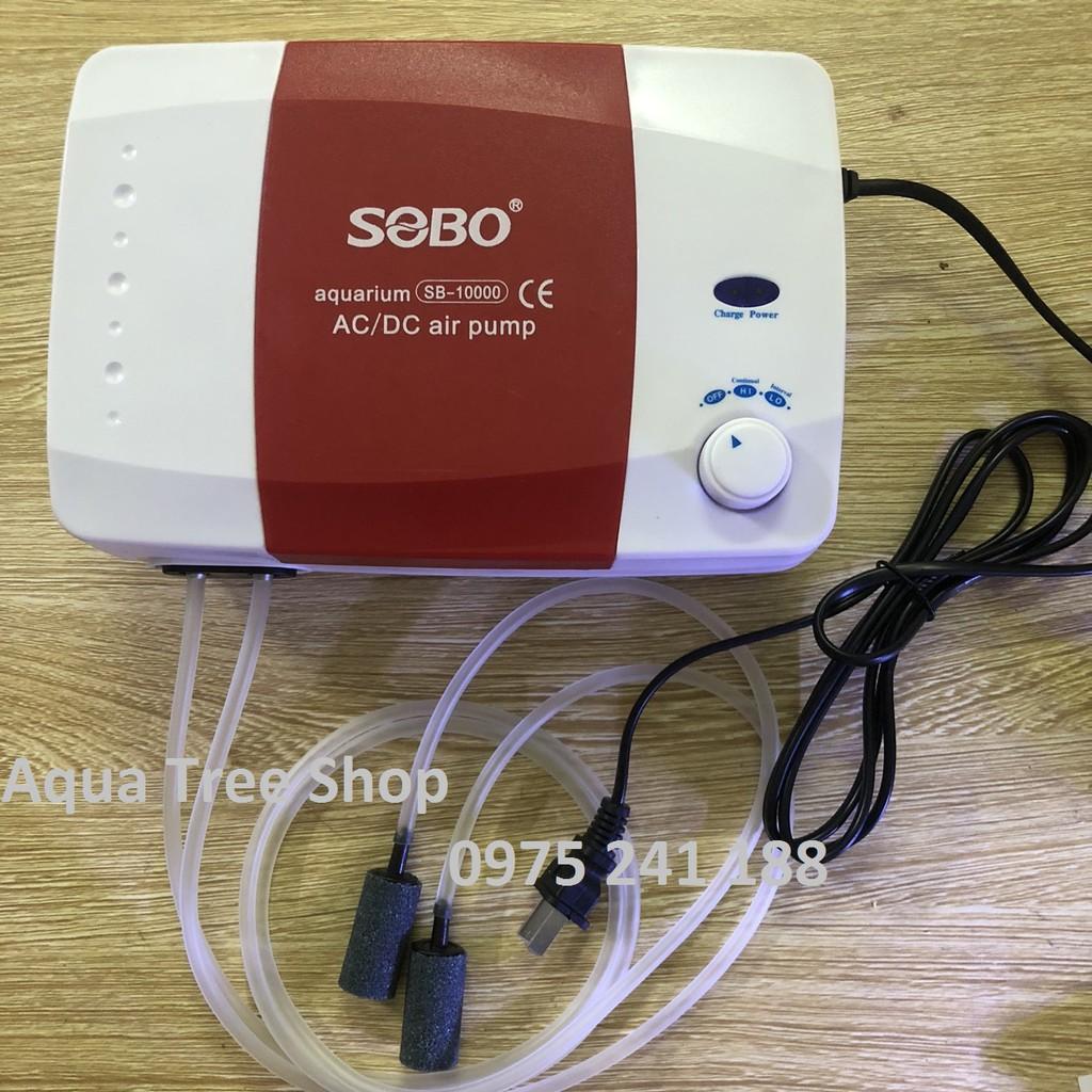 Máy sủi khí tích điện SB-10000 công suất lớn 12W + 2 dây sủi + 2 quả sủi