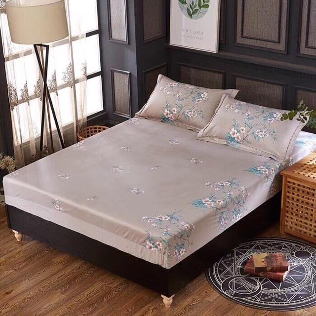 Bộ cotton organic mẫu mới