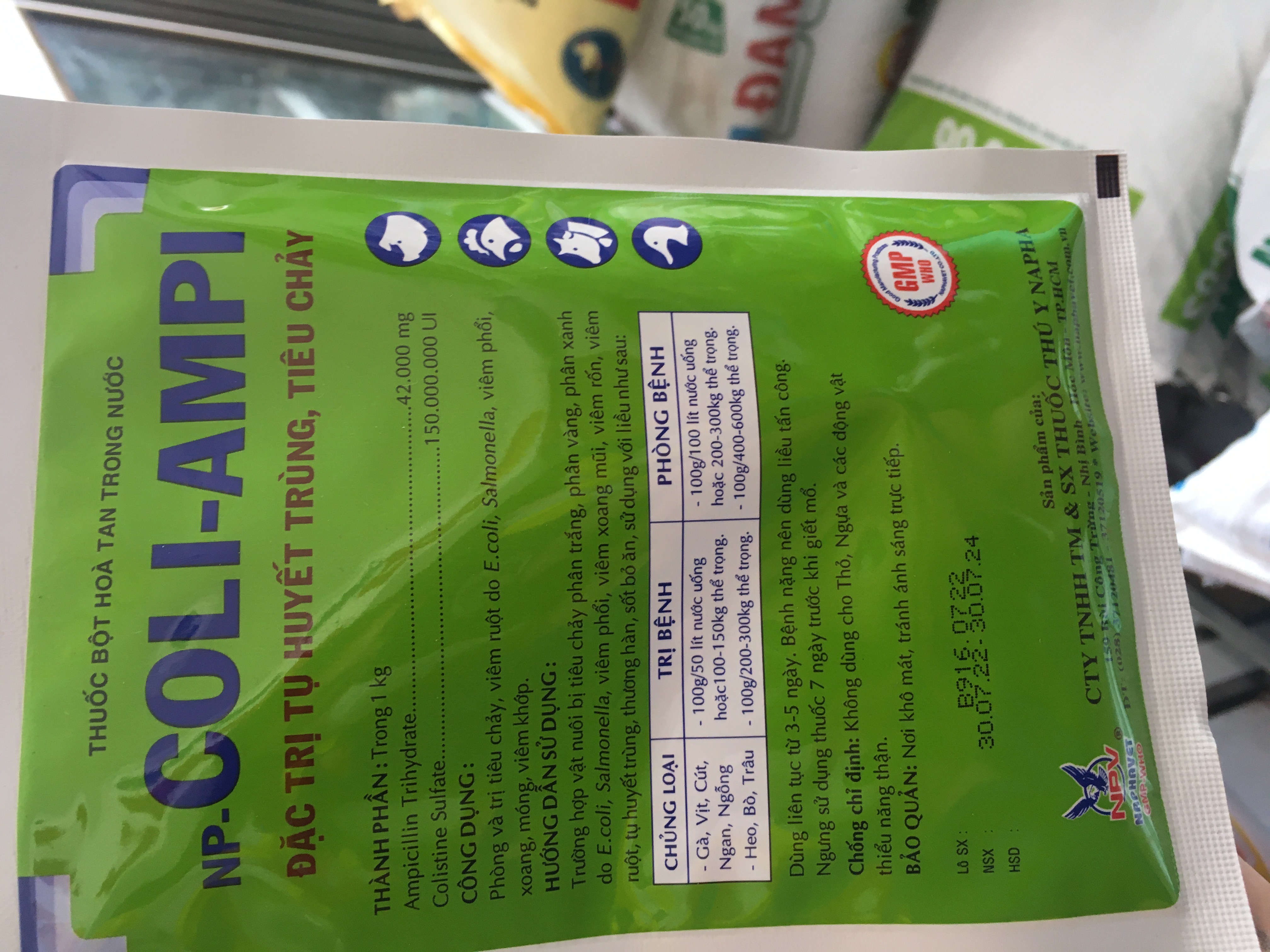 Np Coli ampi ngăn ngừa tụ huyết trùng , tiêu chảy ,ecoli , viêm phổi, xoang , móng viêm khớp cho trâu bò heo gà vịt