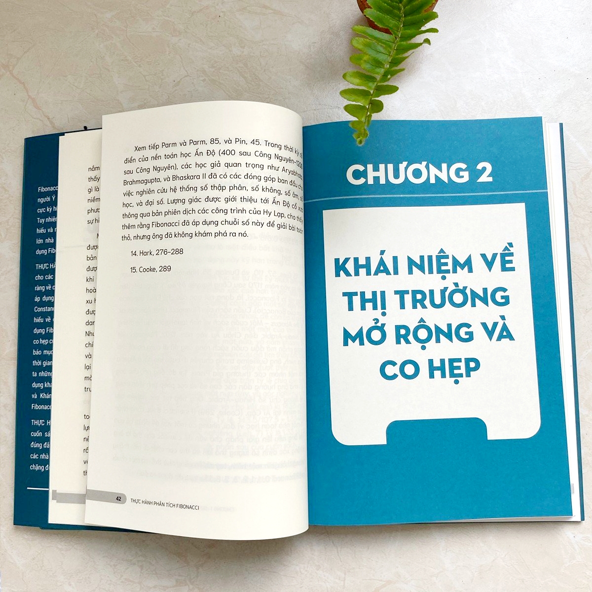 Thực hành Phân tích Fibonacci - Hướng dẫn Phương pháp Fibonacci từ Nhà Quản Lý Quỹ kiêm Học giả CMT