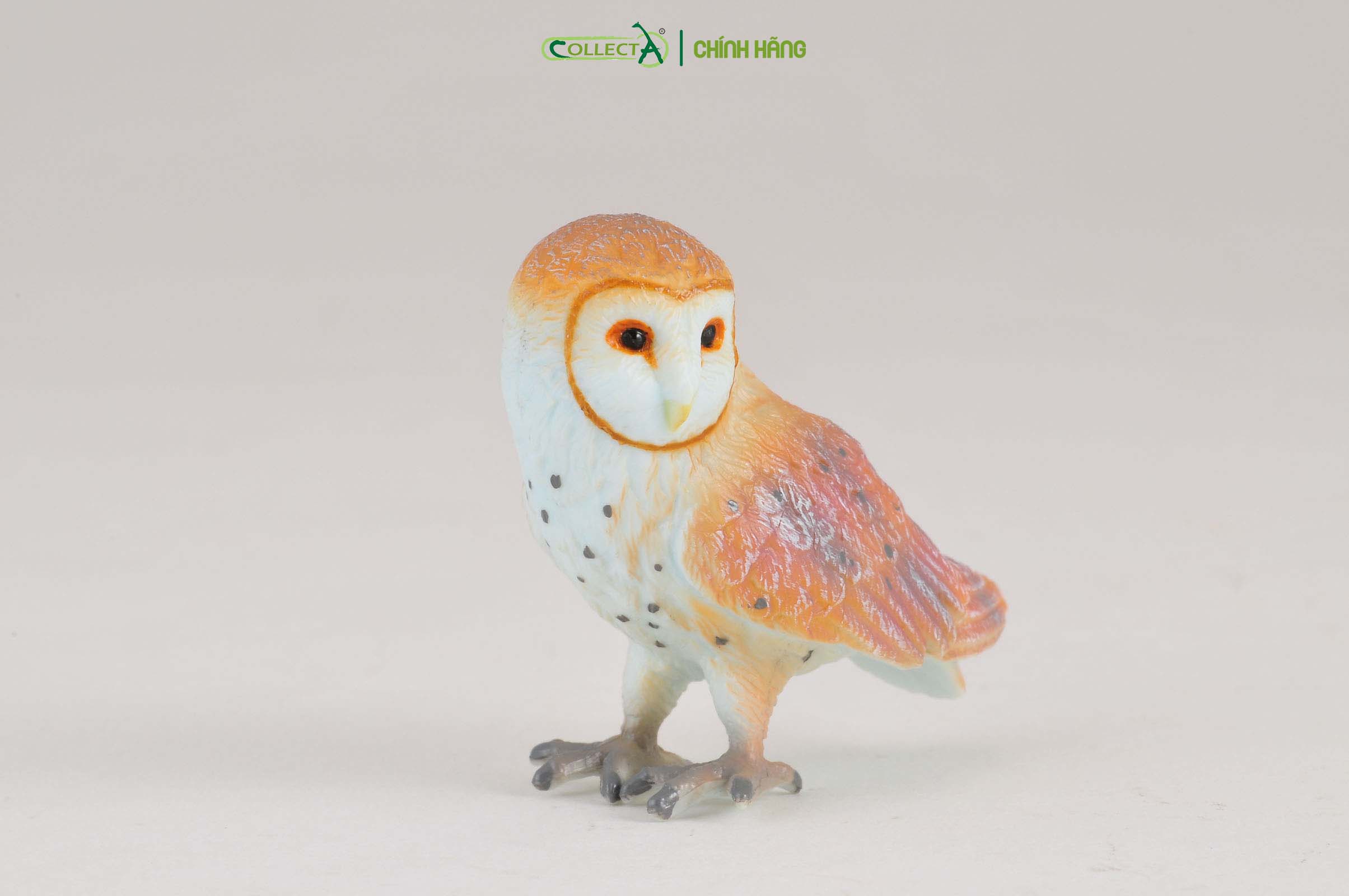 Mô hình thu nhỏ: Cú Lợn Lưng Xám - Barn Owl, hiệu: CollectA, mã HS 9651380 - Chất liệu an toàn cho trẻ - Hàng chính hãng