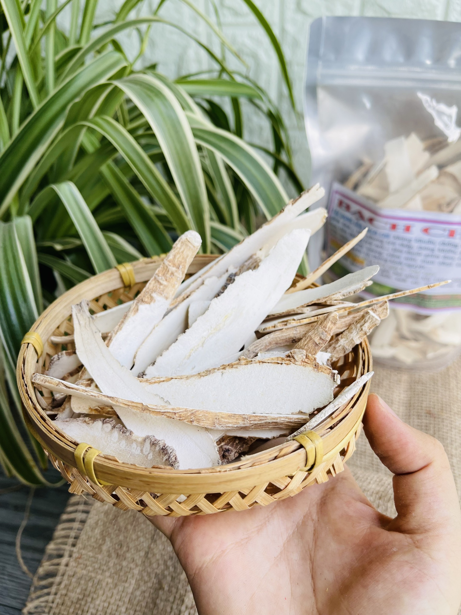 100gram Bạch chỉ vị thuốc bắc khô sạch