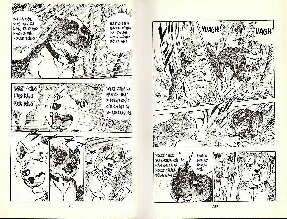 chú chó có nghĩa - ginga nagareboshi gin chapter 21 8