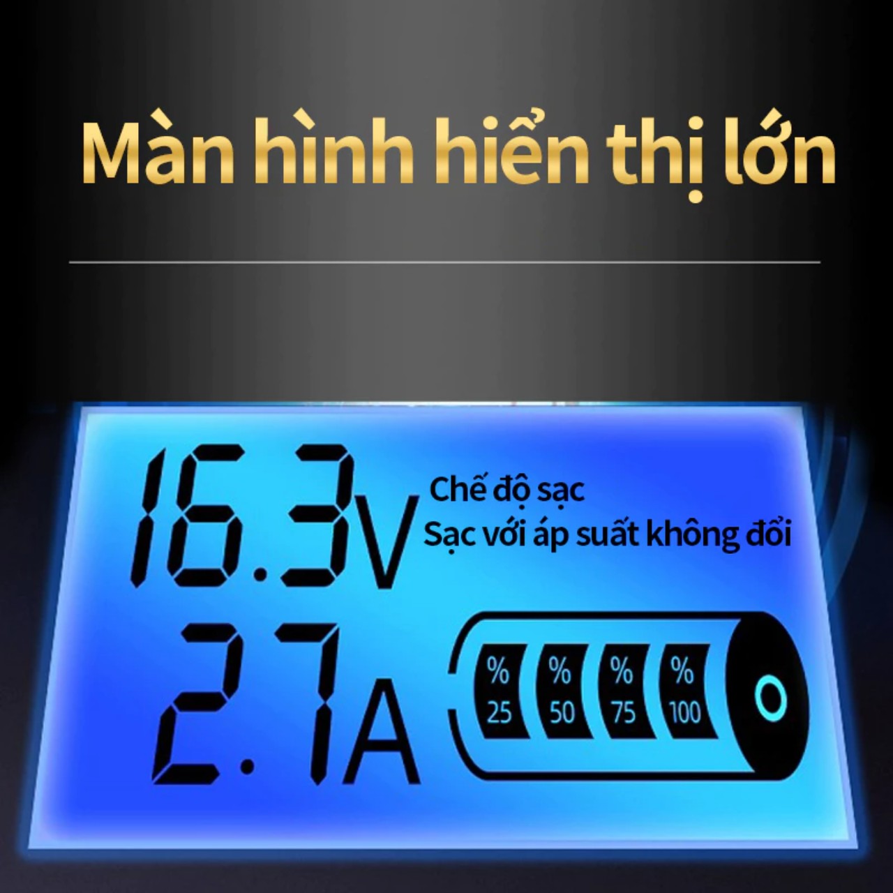 Sạc bình acquy 12v và 24v tự ngắt khi đầy,Sạc bình ắc quy tự động nhận bình 12V/24V 400AH