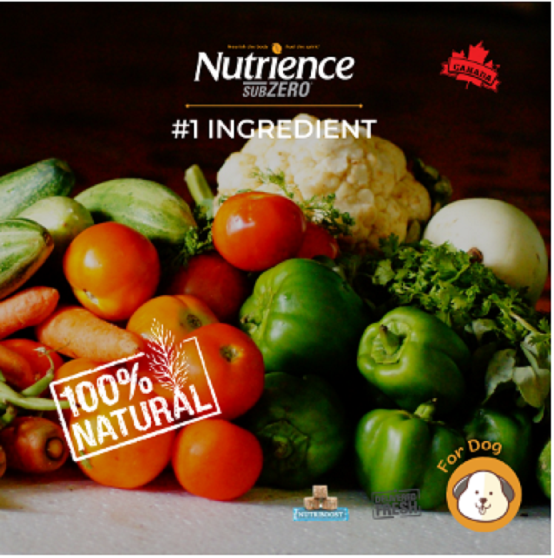 Hạt cho Chó Nutrience Suzero - Gà Tây, Cá Hồi , Cá Trích, Cá Tuyết & Rau Củ Quả Tự Nhiên - 0.5kg