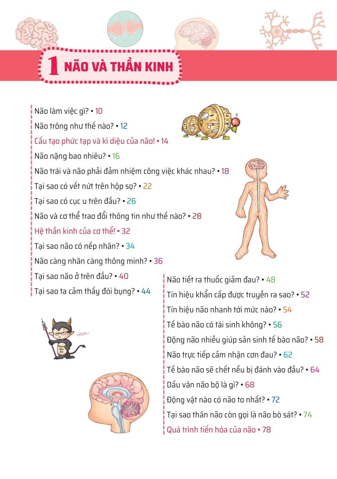 Sách - Quiz! Khoa Học Kì Thú - Khám Phá Não Bộ