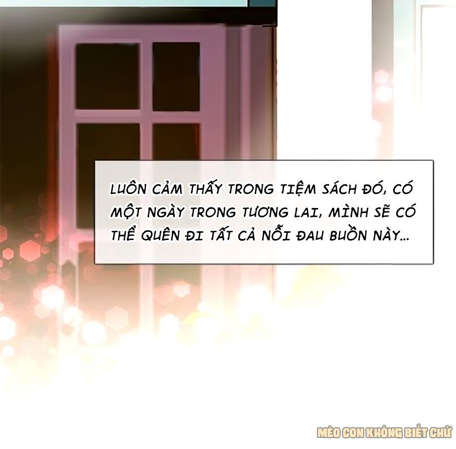 không có ssr làm sao để yêu chapter 11 23