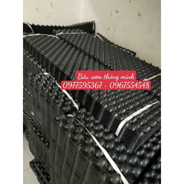 Bầu ươm V6 thông minh loại 20 cm dày 0.7mm tặng kèm ốc vit
