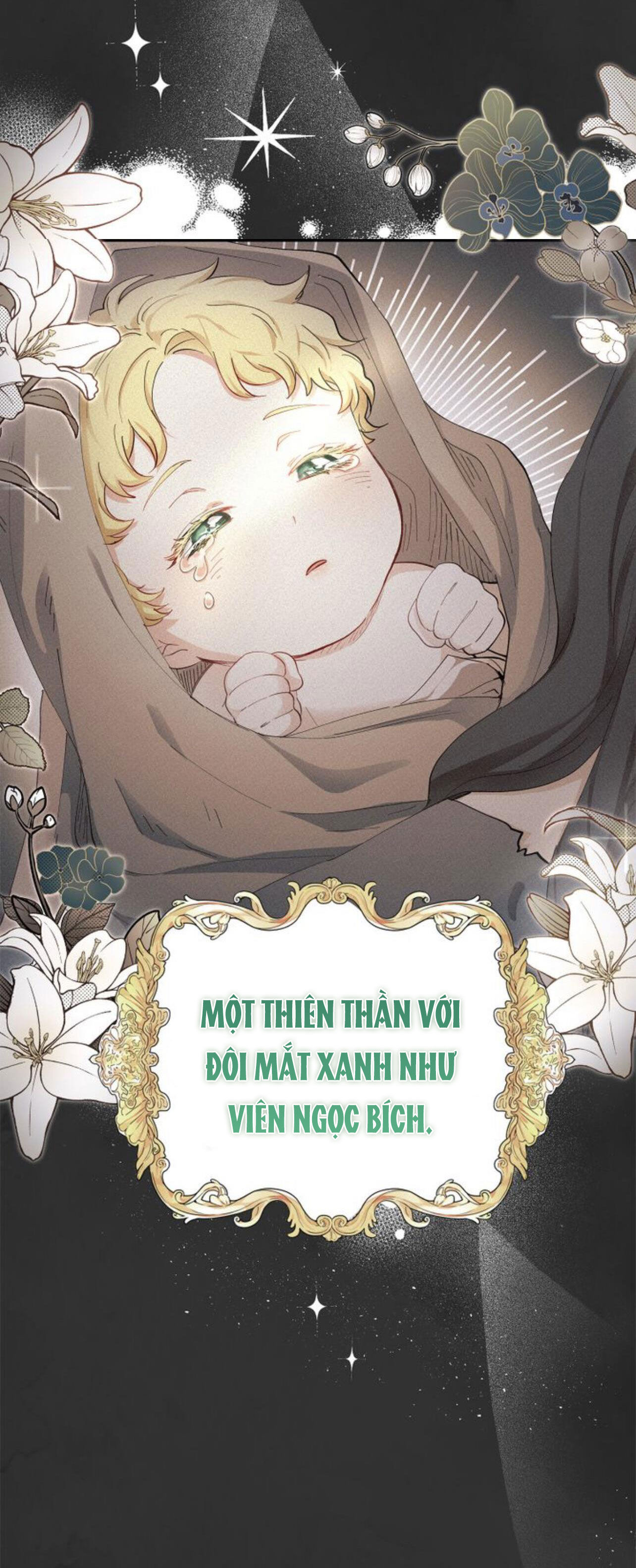 tìm lại nàng camellia chapter 1 29
